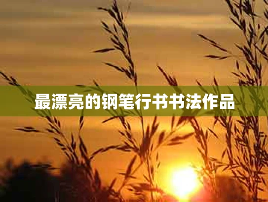 最漂亮的钢笔行书书法作品