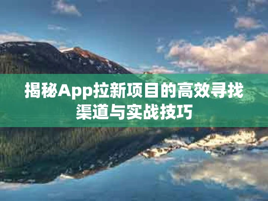 揭秘App拉新项目的高效寻找渠道与实战技巧