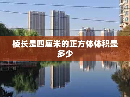 棱长是四厘米的正方体体积是多少