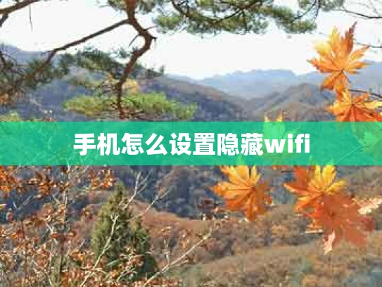 手机怎么设置隐藏wifi