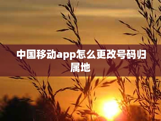中国移动app怎么更改号码归属地