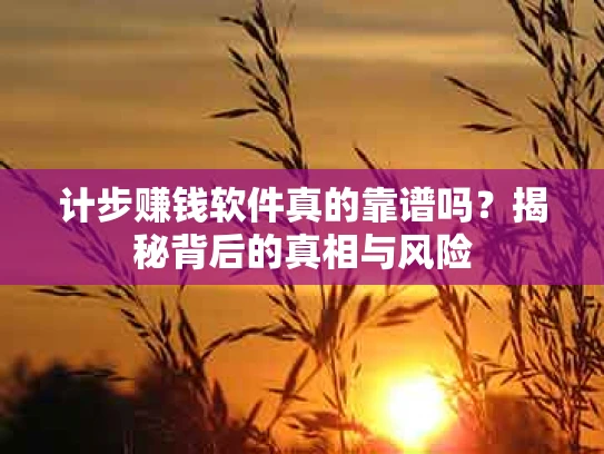 计步赚钱软件真的靠谱吗？揭秘背后的真相与风险