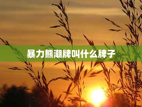 暴力熊潮牌叫什么牌子