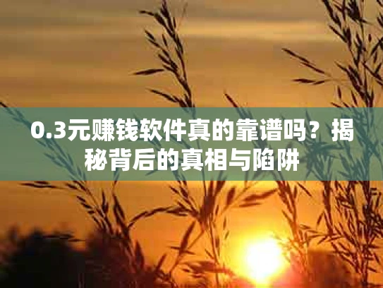 0.3元赚钱软件真的靠谱吗？揭秘背后的真相与陷阱