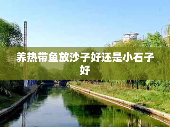 养热带鱼放沙子好还是小石子好