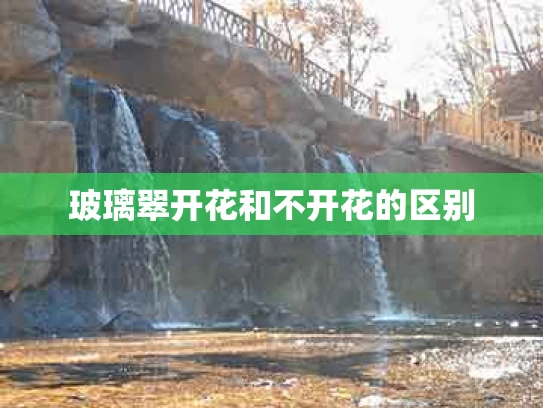 玻璃翠开花和不开花的区别