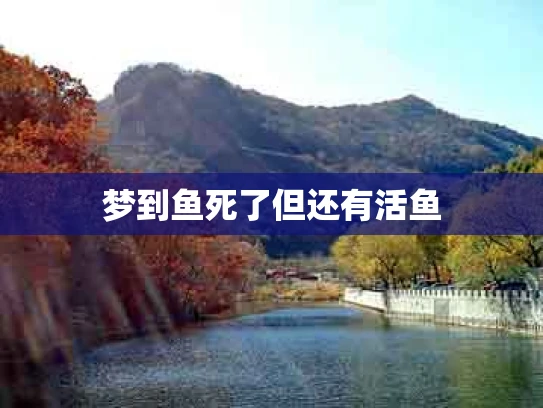 梦到鱼死了但还有活鱼
