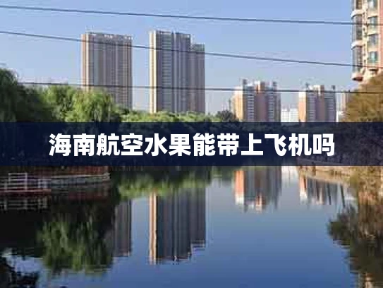 海南航空水果能带上飞机吗