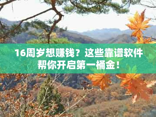 16周岁想赚钱？这些靠谱软件帮你开启第一桶金！