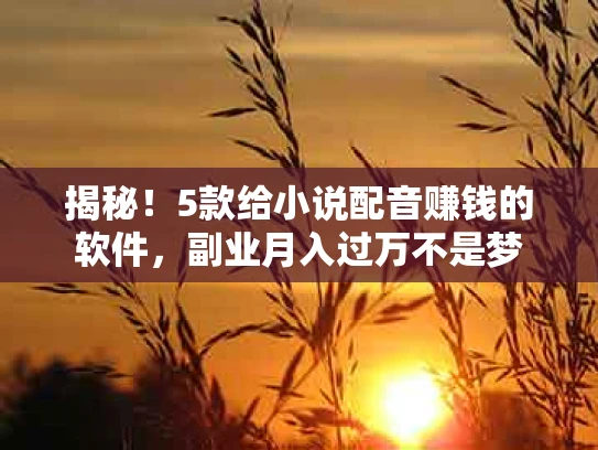 揭秘！5款给小说配音赚钱的软件，副业月入过万不是梦