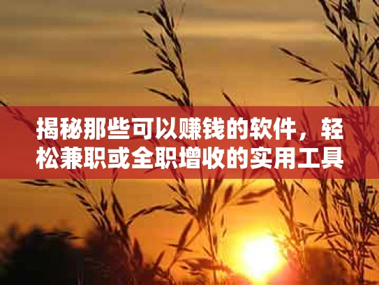 揭秘那些可以赚钱的软件，轻松兼职或全职增收的实用工具