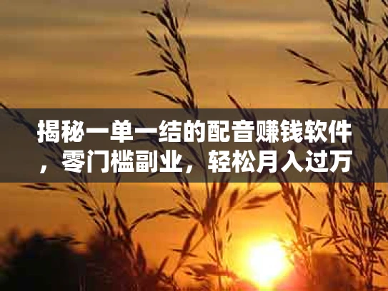 揭秘一单一结的配音赚钱软件，零门槛副业，轻松月入过万！