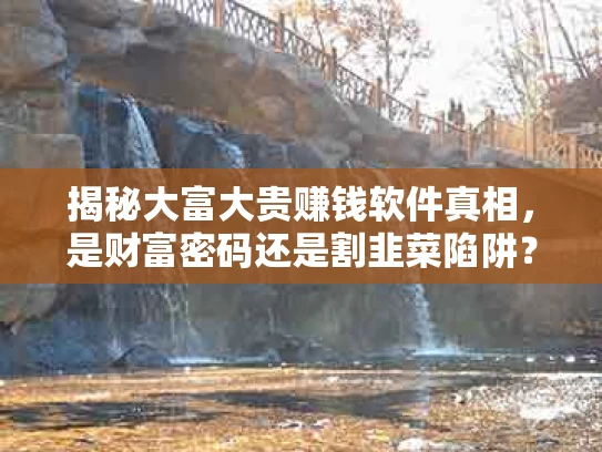 揭秘大富大贵赚钱软件真相，是财富密码还是割韭菜陷阱？