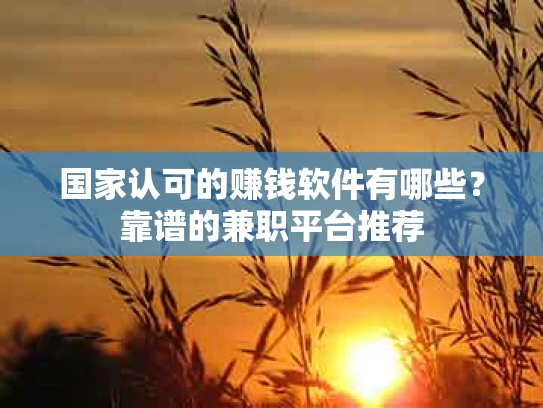 国家认可的赚钱软件有哪些？靠谱的兼职平台推荐