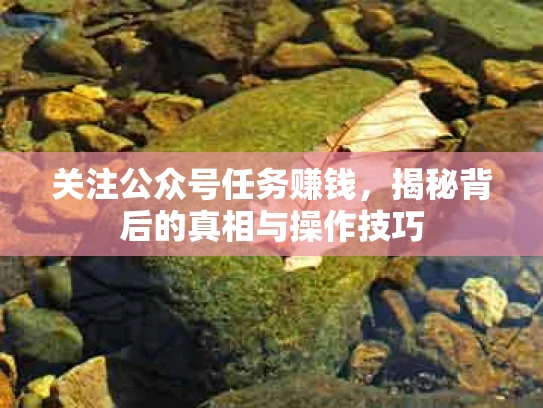 关注公众号任务赚钱，揭秘背后的真相与操作技巧