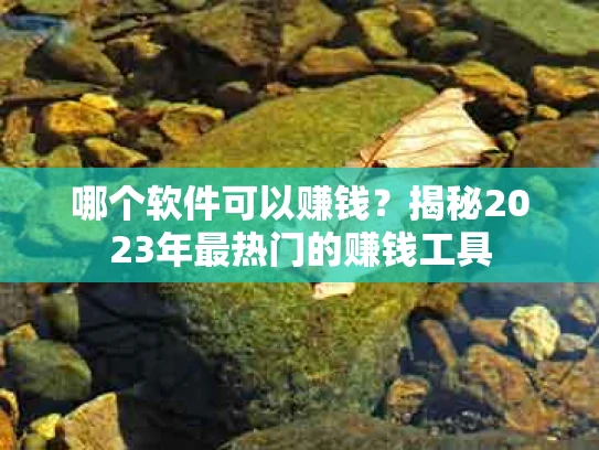 哪个软件可以赚钱？揭秘2023年最热门的赚钱工具
