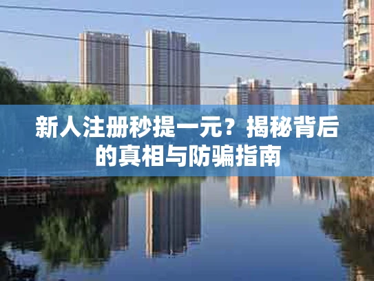 新人注册秒提一元？揭秘背后的真相与防骗指南