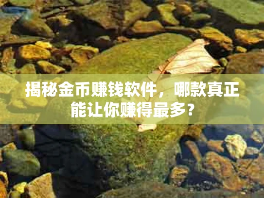 揭秘金币赚钱软件，哪款真正能让你赚得最多？