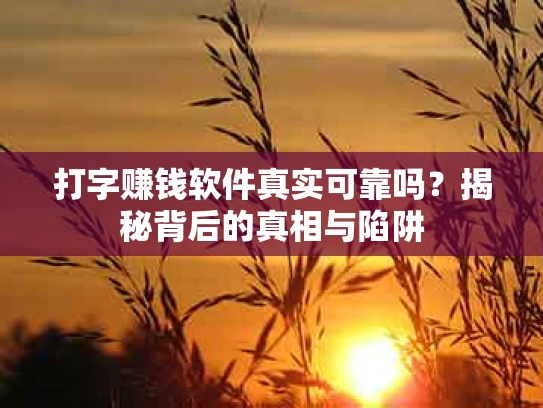 打字赚钱软件真实可靠吗？揭秘背后的真相与陷阱