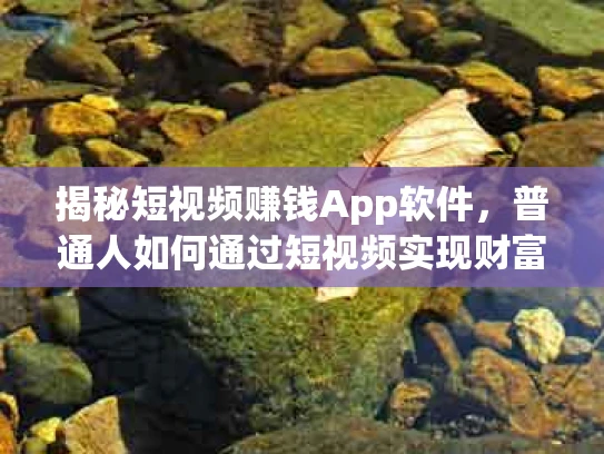 揭秘短视频赚钱App软件，普通人如何通过短视频实现财富自由？