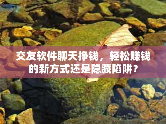 交友软件聊天挣钱，轻松赚钱的新方式还是隐藏陷阱？
