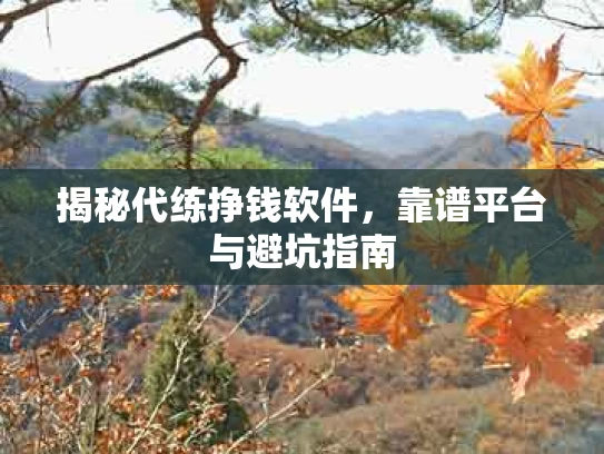 揭秘代练挣钱软件，靠谱平台与避坑指南