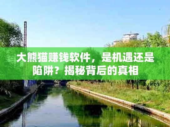 大熊猫赚钱软件，是机遇还是陷阱？揭秘背后的真相