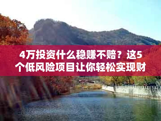 4万投资什么稳赚不赔？这5个低风险项目让你轻松实现财富增值
