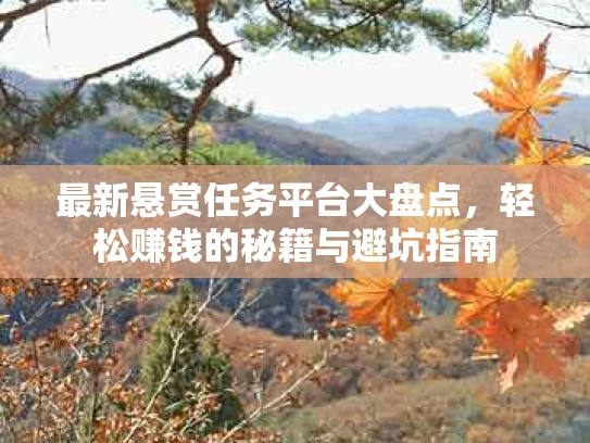 最新悬赏任务平台大盘点，轻松赚钱的秘籍与避坑指南