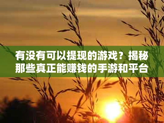有没有可以提现的游戏？揭秘那些真正能赚钱的手游和平台