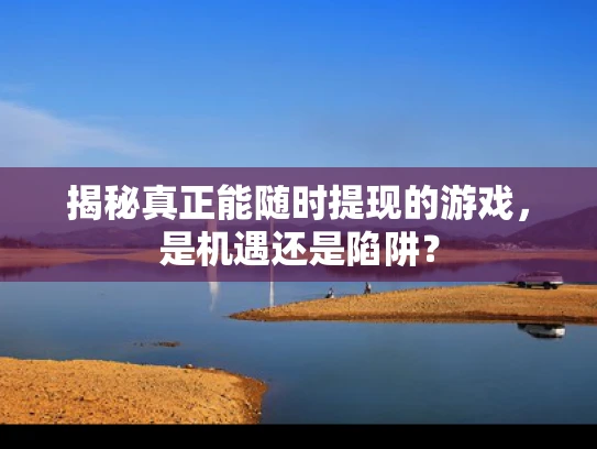 揭秘真正能随时提现的游戏，是机遇还是陷阱？