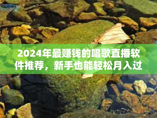 2024年最赚钱的唱歌直播软件推荐，新手也能轻松月入过万